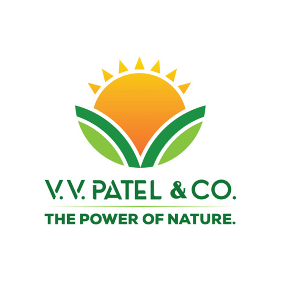 V.V.PATEL & CO